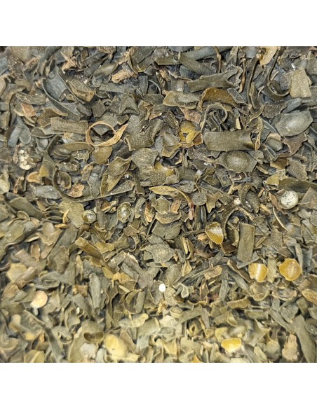 Tisana Fucus Tallo 100 g