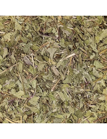 Tisana Menta Piperita 100 g