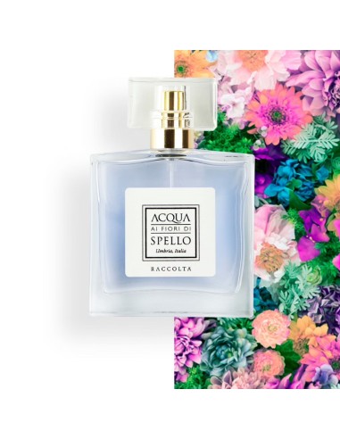 Acqua ai Fiori di Spello - Raccolta...