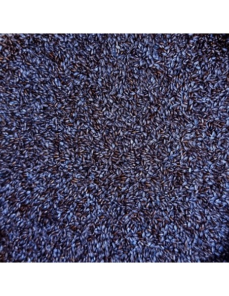 Tisana Psillio 100 g