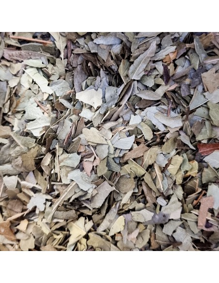 Tisana Boldo Foglie 100 g