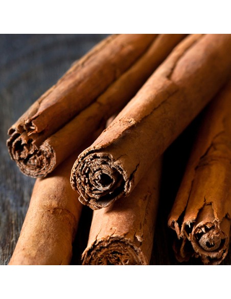 Cannella Corteccia 1 stecca