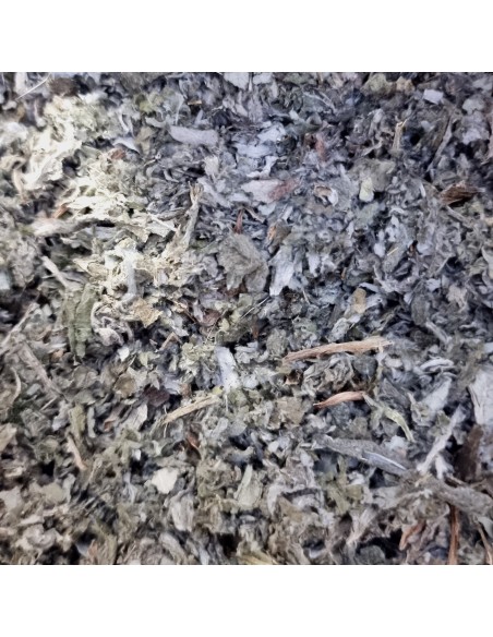 Tisana Carciofo Foglie 100 g