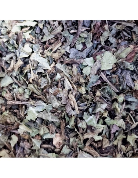 Tisana Cardo Mariano Sommità 100 g