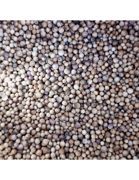 Tisana Coriandolo Semi 100 g