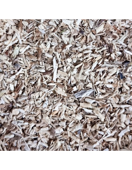 Tisana Cicoria Radice 100 g