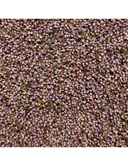 Tisana Erica Fiori 100 g