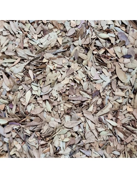 Tisana Globularia 100 g