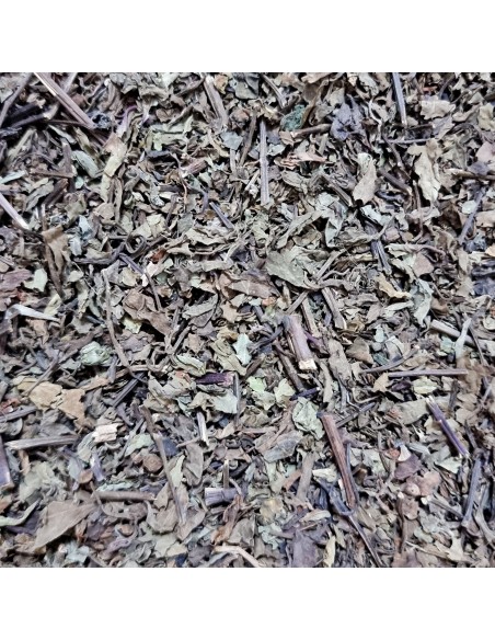 Tisana Orthosiphon 100 g