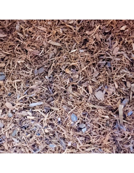 Tisana Tè Lapacho 100 g