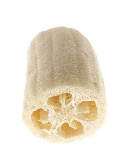 Spugna di Loofah