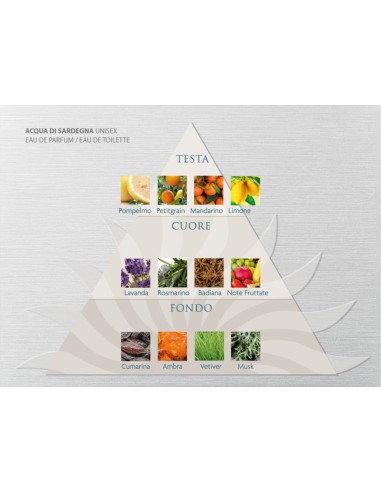 Acqua Unisex Eau de Parfum 50 ml