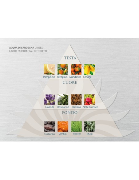 Acqua Unisex Eau de Parfum 50 ml