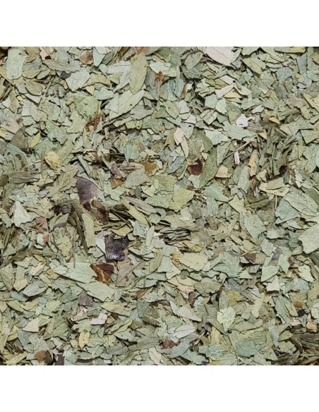 Tisana Senna Foglie 100g