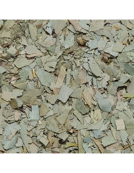Tisana Eucalipto 100g