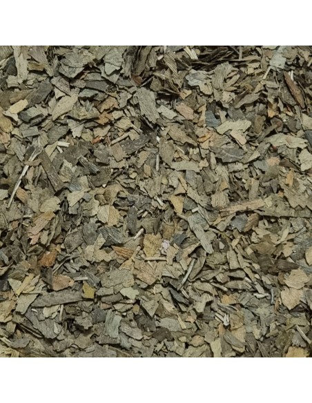 Tisana Ginkgo Biloba 100g