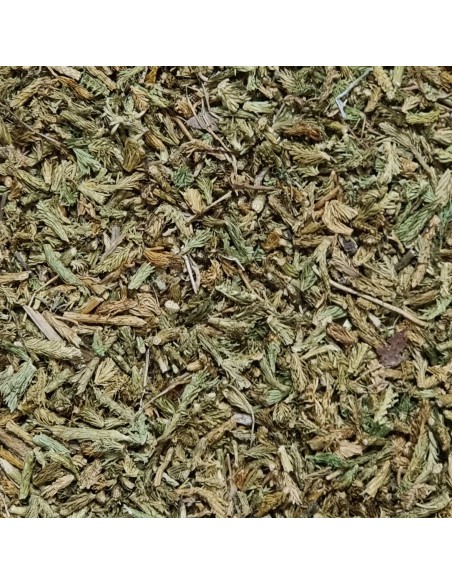 Licopodio erboristeria