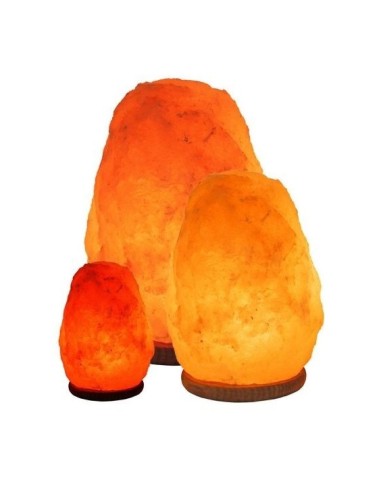 Lampada di Sale dell'Himalaya Rosa