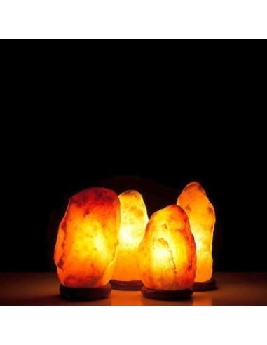 Lampada di Sale dell'Himalaya Rosa