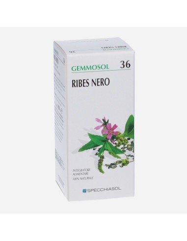 Gemmosol Ribes Nero 100 ml