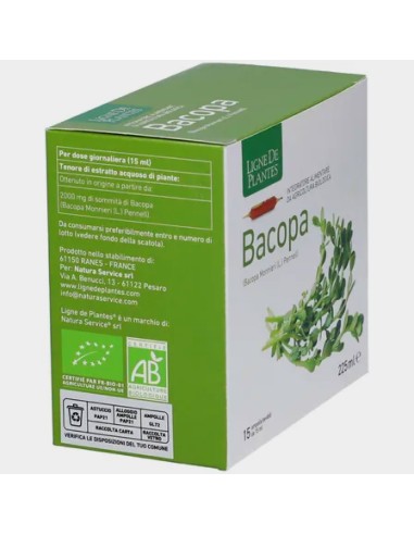 integratore per la memoria