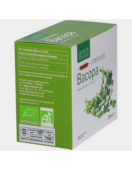 integratore per la memoria