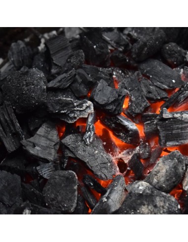 Polvere di Carbone Vegetale 100 g