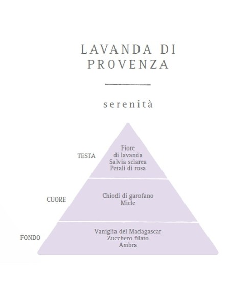 Diffusore d'Essenza con Oli Essenziali - Lavanda di Provenza 100 ml