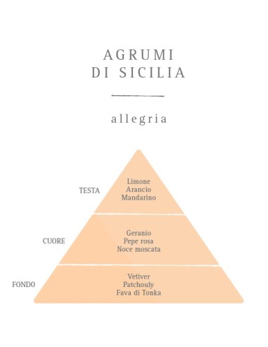 Diffusore d'Essenza con Oli...