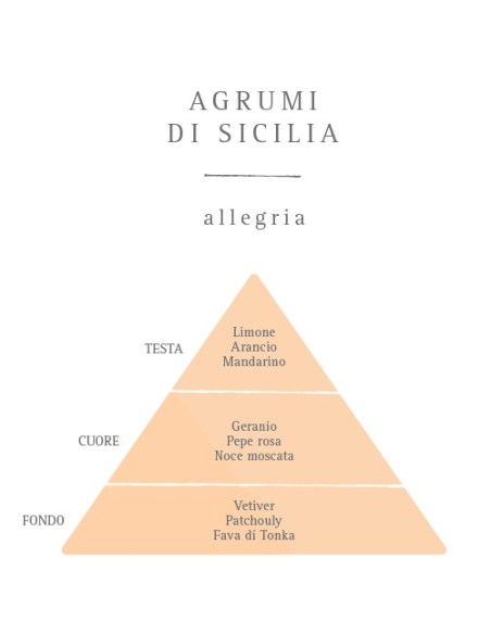 Diffusore d'Essenza con Oli Essenziali - Agrumi di Sicilia 100 ml