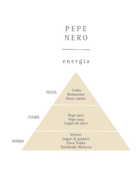 Diffusore d'Essenza con Oli Essenziali - Pepe Nero e Vetiver 100 ml