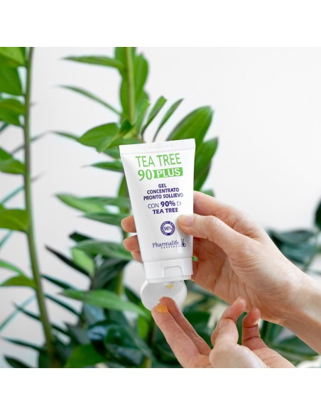 tea tree per pizzichi