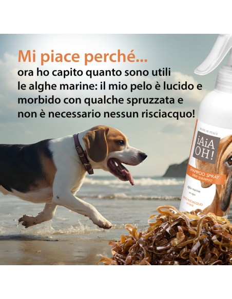 iAiAOH! Shampoo Spray Senza Risciacquo 250 ml