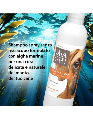 iAiAOH! Shampoo Spray Senza...
