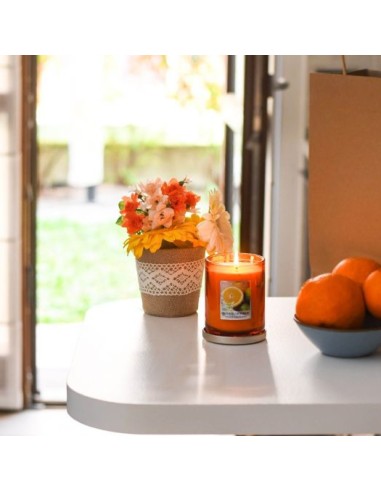 Candela Incontro di Agrumi 340 g