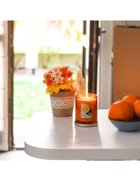 Candela Incontro di Agrumi 340 g