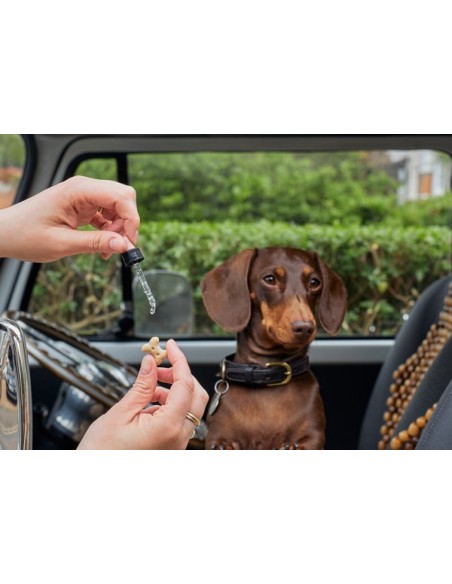 Rescue Remedy Gocce Pet 10 ml