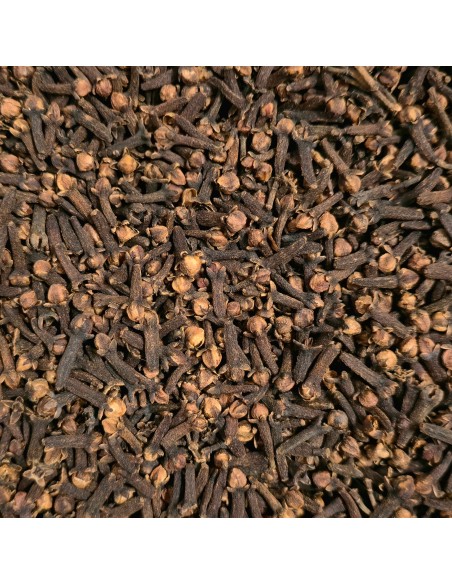 Tisana Garofano Chiodi 100g