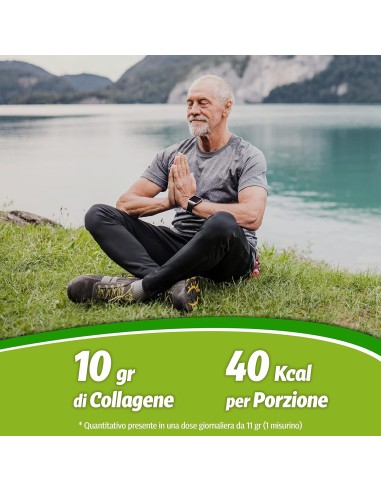 Collagene Rigenera 330 g