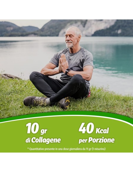 Collagene Rigenera 330 g