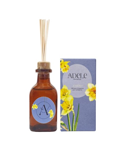 Diffusore d'essenza per l'ambiente -...