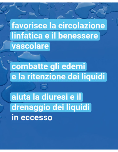 VitaLinfatic 1000 12 Flaconcini